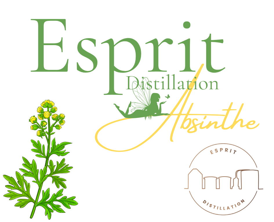 Absinthe Esprit Distillation